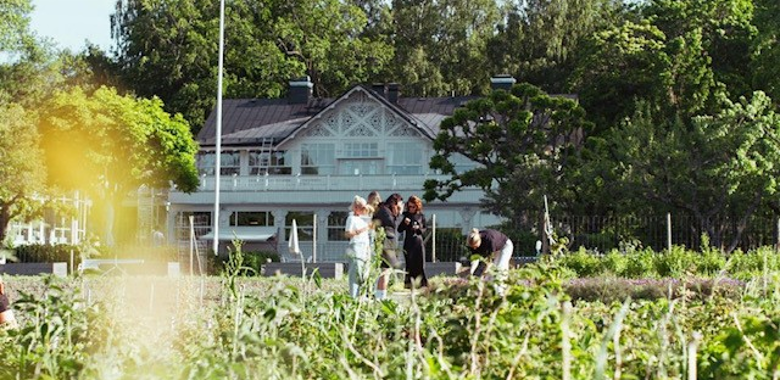 Jobba som Kökspersonal hos Svenska Brasserier